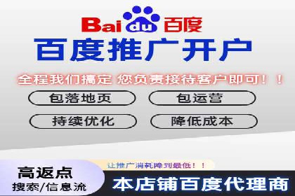某大型平台开户返点效果评估报告